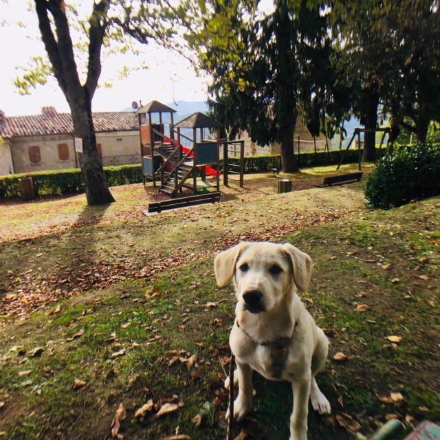 #montemonaco #sibillininationalpark #ascolipiceno #lemarchemagic #chestnuts #sagras #italianvacations #offthebeatenpath #lemarche #adventures