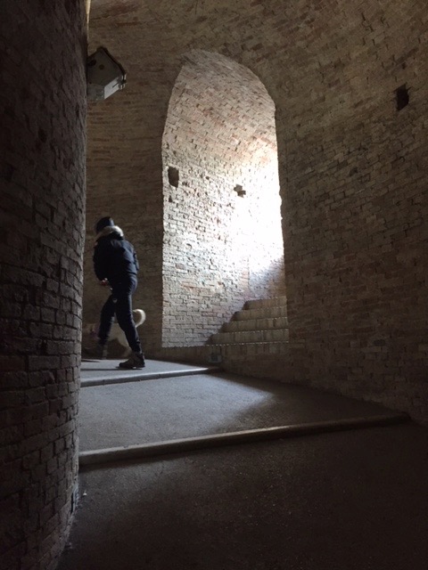 #lemarche #lemarchemagic #fermignano #medievalvillages #castles #pesarourbino #furlopass #eurpeancamperadventures #romanbridges #goladelfurlo #santangeloinvado #domusdelmito #fiumemetauro #rivercandigliano #apenninemountains #urbino