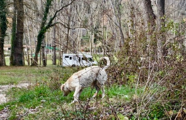 #lemarche #lemarchemagic #fermignano #medievalvillages #castles #pesarourbino #furlopass #eurpeancamperadventures #romanbridges #gloadelfurlo #grandcanyonofitaly #fiumemetauro #rivercandigliano #apenninemountains